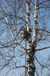 Similar image 1728910