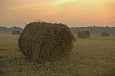 Similar image 1728913