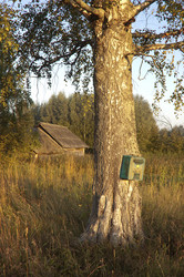 Similar image 1728915