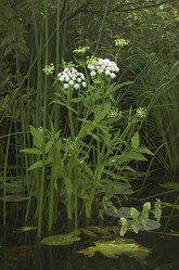 Similar image 1728917