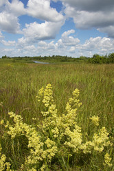 Similar image 1728920