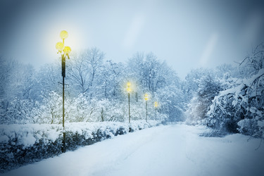 Similar image 1729182