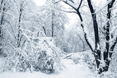 Similar image 1729183