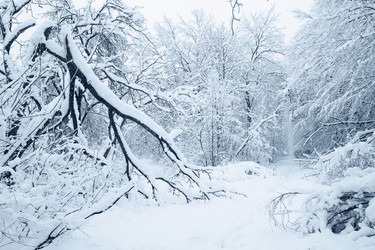 Similar image 1729186