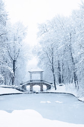 Similar image 1729202