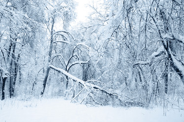 Similar image 1729208