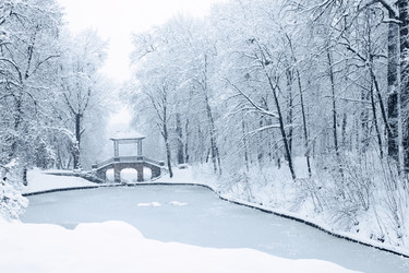 Similar image 1729213