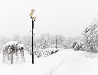 Similar image 1729244