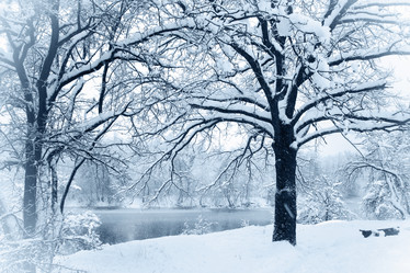 Similar image 1729261