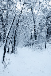 Similar image 1729263