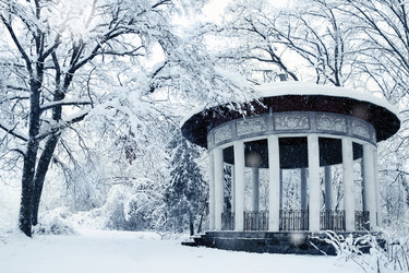 Similar image 1729265