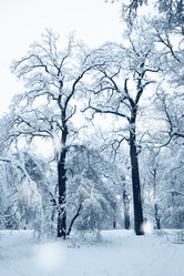 Similar image 1729270