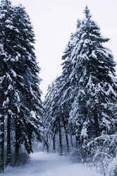 Similar image 1729281