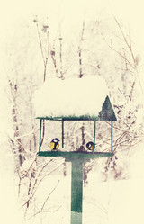 Similar image 1729294