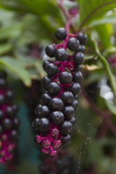 Similar image 1729309