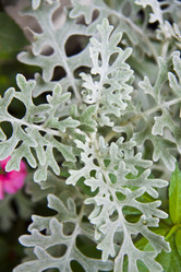 Similar image 1729310