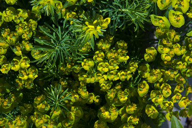 Similar image 1729327