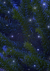 Similar image 1729382