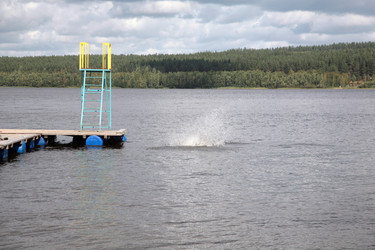 Similar image 1729400