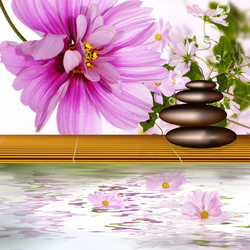 Similar image 1729418