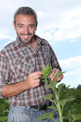 Similar image 1729484