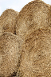 Similar image 1729486