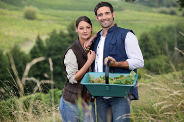 Similar image 1729530