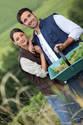 Similar image 1729531