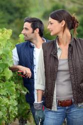 Similar image 1729540