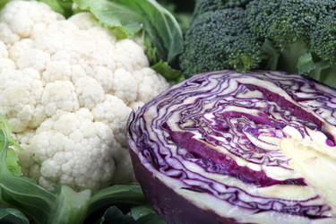 Similar image 1729544