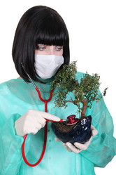 Similar image 1730062