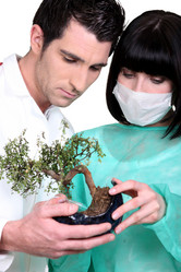 Similar image 1730114