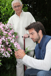 Similar image 1730185