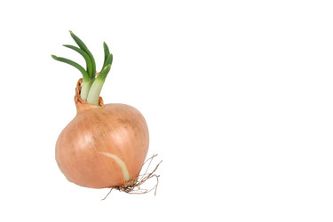 Similar image 1730426