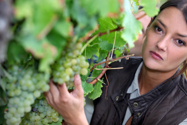 Similar image 1730438