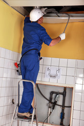 Similar image 1730506