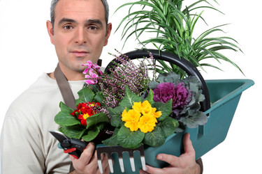 Similar image 1730515