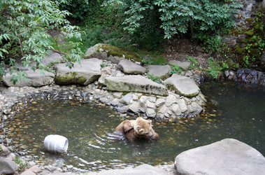 Similar image 1730628