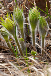 Similar image 1730636