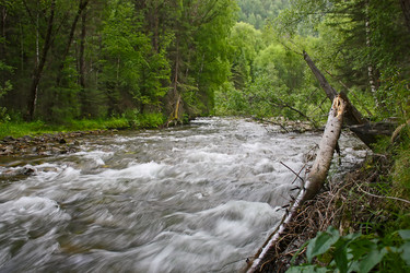 Similar image 1730639