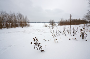 Similar image 1730640