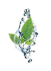 Similar image 1730670