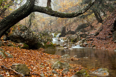 Similar image 1730676