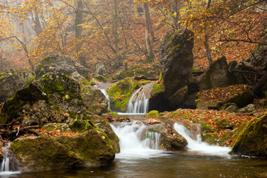 Similar image 1730680