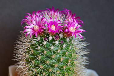 Similar image 1730704