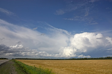 Similar image 1730706