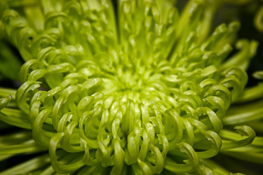 Similar image 1730707