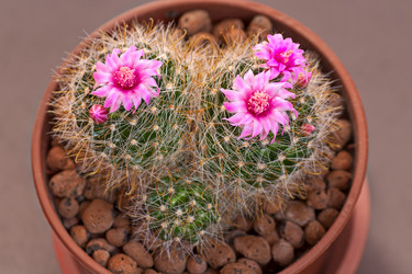 Similar image 1730727