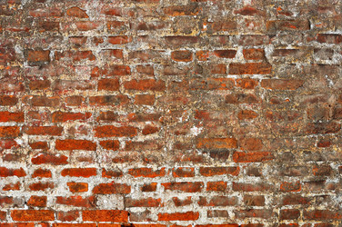 Similar image 1730733