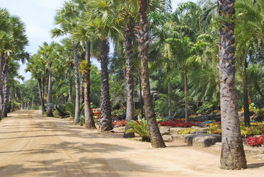 Similar image 1730740